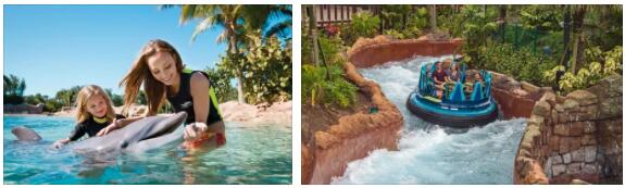 Discovery Cove - the Orlando Water Park